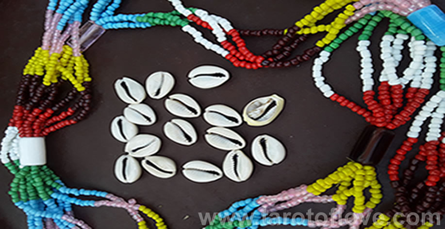 Free cowrie shell love reading - You and him / her