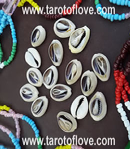 Love daily cowrie shell reading