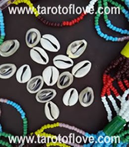 Love daily cowrie shell reading
